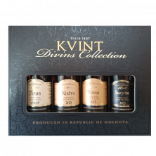 Миньоны "KVINT" Divins Collection. Серия №1, Марочные
